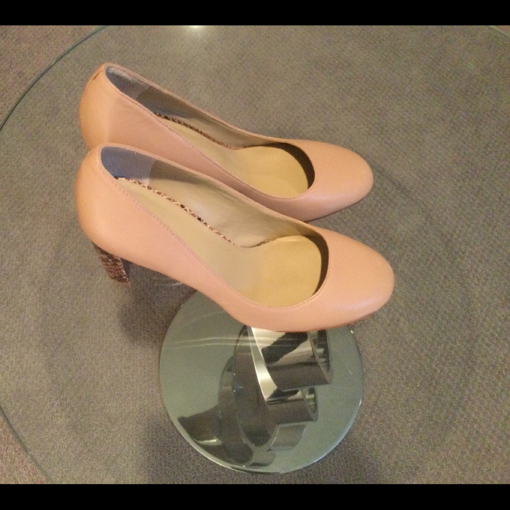 Ann Taylor